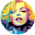 icon 23